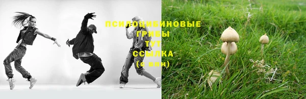a pvp Беломорск