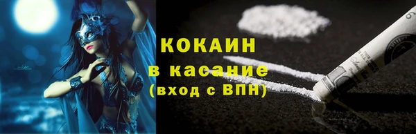 шишки Инсар