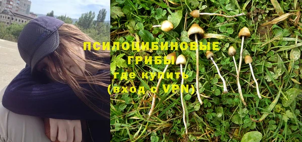 кокаин Богданович