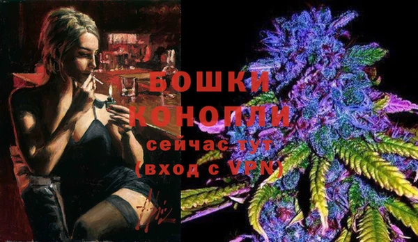спайс Богородск